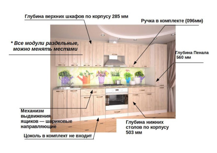 Грецкий орех - 15 (3000 мм)